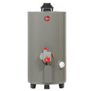 CALENTADOR RHEEM ALTO RENDIMIENTO 48L GAS NATURAL 29V13HR/585505